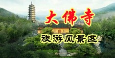 被cao到腿软bl美人多汁在线观看中国浙江-新昌大佛寺旅游风景区